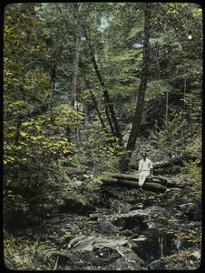Holland Glen (young man sitting on log over woodland stream)