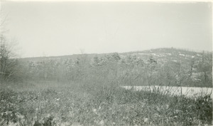 Forestry and Wildlife Management - Mt. Toby Forest