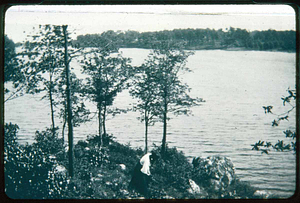 Birch pond, North Saugus, Lynnhurst end