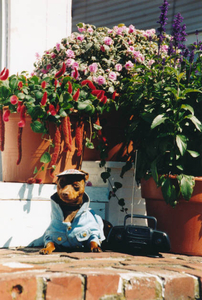 Chillin on the steps