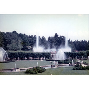 Chinese Progressive Association members view the Main Fountain Garden in Philadelphia's Longwood Gardens