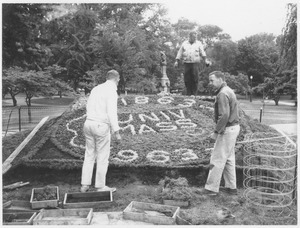 Three unidentified men working on a planting display for the Centennial on Boston Common