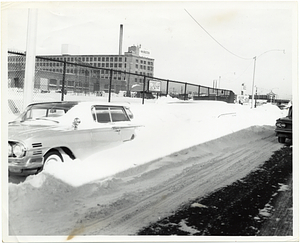 Shirley Street, Roxbury after heavy snow