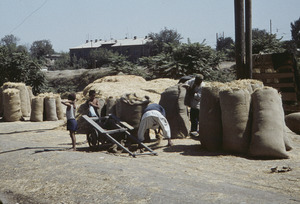 Piles and bags of hay on a roadside
