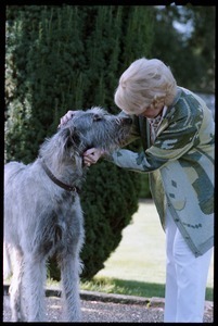 Margaret Heckler, United States Ambassador to Ireland, at the door of her residence, greeting her Irish wolfhound, Jackson O'Toole