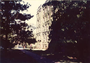 A photograph of Alumni Hall, ca. 1955