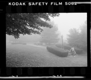 Photographs of campus with morning mist, 1979 October 2