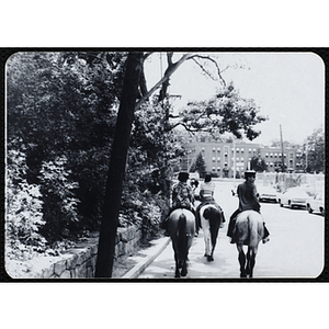 A group of teenagers ride horses on a steet