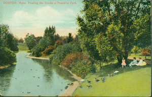 Boston, Mass., feeding the ducks at Franklin Park