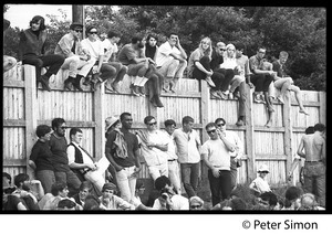 Audience perched on a fence watching Muddy Waters at the Newport Folk Festival