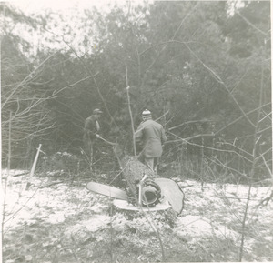 Forestry and Wildlife Management - Mt. Toby Forest