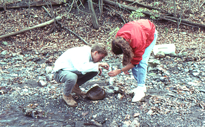 Jamie Art, left, and Kerry Mularczyk, right, (both Williams Class of 1993) sample aquatic invertebrates in Buxton Brook field lab for BIOL 203 - Ecology.