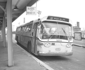 Buses at Wonderland Station
