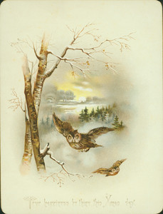 Christmas card, showing owls in a winter scene, undated