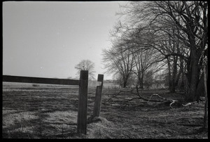 View of fence and fields