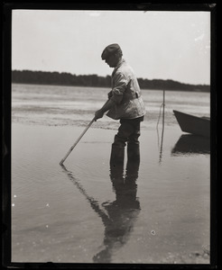 Otis Fish, the Blind Clam Digger of Falmouth, digging at low tide