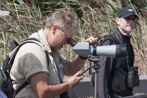 Jeannette Bragger (Mass Audubon Society volunteer) looking through a monocular while birding, Wellfleet Bay Wildlife Sanctuary