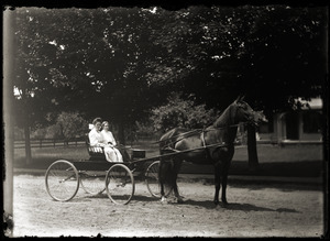 Two women driving a buggy (Greenwich, Mass.)