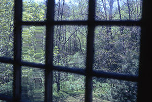 View of west yard from Carriage House Clock Tower window.