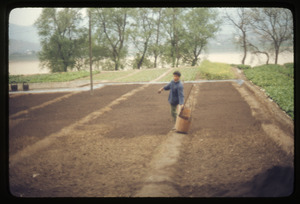 Person with carrying basket in new plowed field