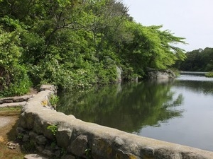 Mill pond at the Stony Brook Grist Mill and Museum