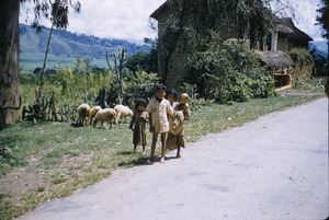 Hindu children by the roadside