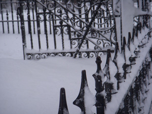 Iron fencing in heavy snow, Main Street, Northampton, Mass.