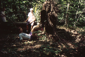 Impacts of 15 July 1995 storm in grid cell 0115. 4. Left to right: Jonah Wittkamper, Williams Class of 1997; Tim Billo, Williams Class of 1997; and Gail French, Williams Class of 1996 setting up 90-degree rotation photo on trunk of sugar maple tip-up.
