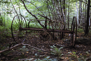 Hay dump-rake {Walter A. Wood Co.} in woods southeast of the abandoned stawberry field in Moon Lot / Primmer Farm. Close-up image.