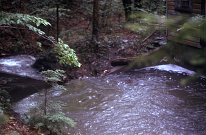 Ponding basin behind the V-notch weir on the South Branch Birch Brook Stream Gauging Station.Morning after the 2.5" overnight (29-30 June 1973) rainfall event.