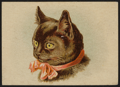 Trade card for R. & J. Gilchrist, importers and dealers in dry goods, 5 & 7 Winter Street, Boston, Mass., undated