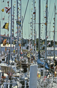 A thicket of yachts