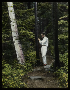 Petticoat Hill (Waugh's son examining black birch in the woods)