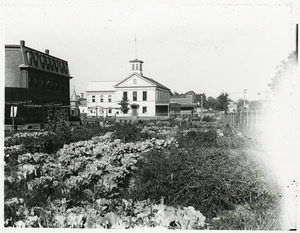 Community garden with meetinghouse in background