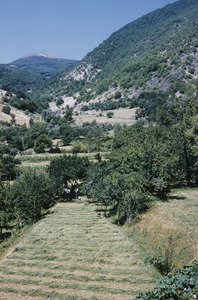 Fields outside Labuništa