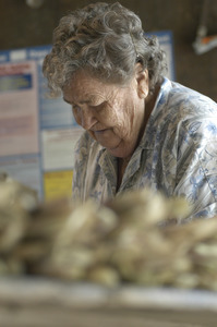 Hibbard Farm: woman bunching asparagus