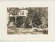 Damage from 1938 Hurricane