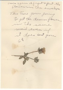 Note with pressed flower from Robert E. Dillon to Mary Dillon
