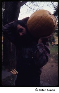 Man hoisting a large pumpkin on his shoulder, Tree Frog Farm commune