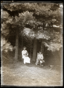 Woman, cat, and young boy seated under pine trees (Greenwich, Mass.)
