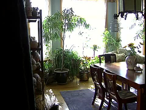¡Colores!; Interior of a Historic House
