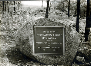 Houghton Horticultural Society tablet of rock in Lynn Woods