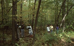 Students conducting field lab in permanent plot 1036.