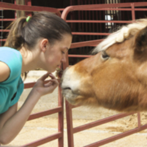 Girl with horse
