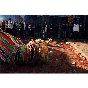 Performance of a dragon dance in a celebration of the Chinese New Year in Boston's Chinatown