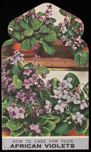 Trade card for Mahoney's, Rocky Ledge Greenhouses & Florist Shop, 210-242 Cambridge Street, Route 3, Winchester, Mass., 1958