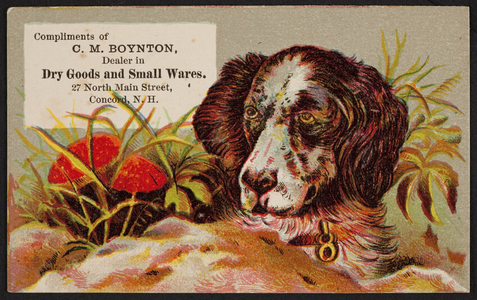 Trade card for C.M. Boynton, dealer in dry goods and small wares, 27 North Main Street, Concord, New Hampshire, undated