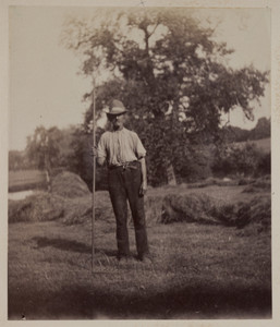 Hay worker, Lyman estate, Waltham, Mass.