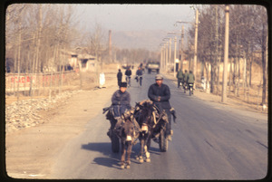 General Petrochemical Works -- donkey and burro pulling cart with man and boy