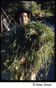 Harvesting grass, Tree Frog Farm Commune